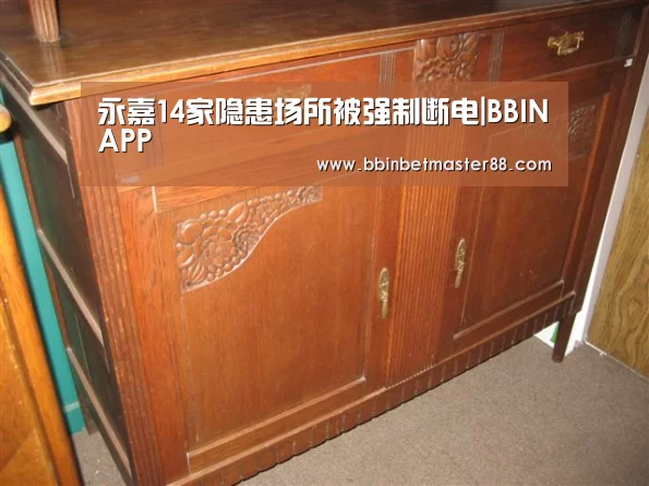 永嘉14家隐患场所被强制断电|BBINAPP(图3) 永嘉14家隐患场所被强制断电|BBINAPP(图3)