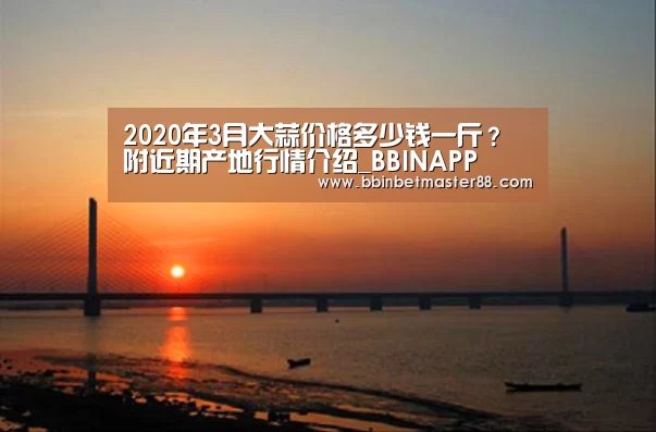 BBIN登录