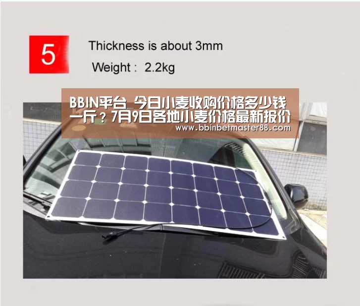 BBIN平台_今日小麦收购价格多少钱一斤?7月9日各地小麦价格最新报价(图3) BBIN登录