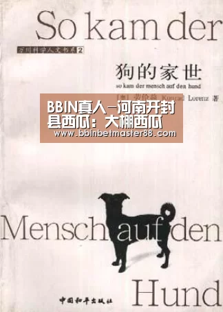 BBIN真人-河南开封县西瓜:大棚西瓜接近尾声冠龙瓜上市(图1) BBIN平台