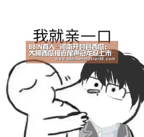 BBIN真人-河南开封县西瓜:大棚西瓜接近尾声冠龙瓜上市(图2) BBIN真人