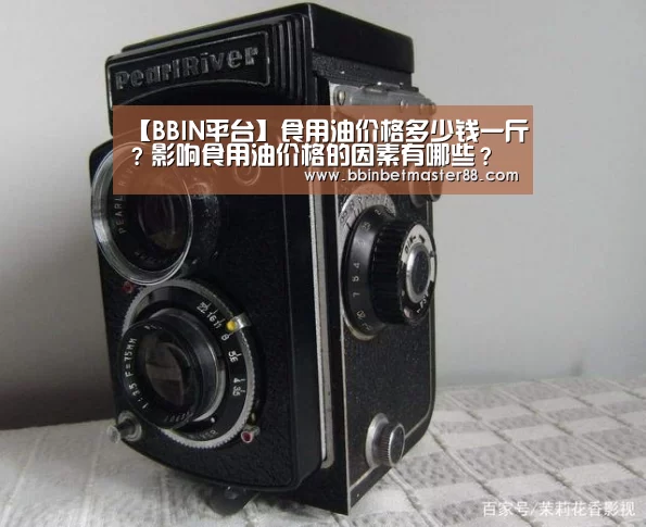 BBIN登录