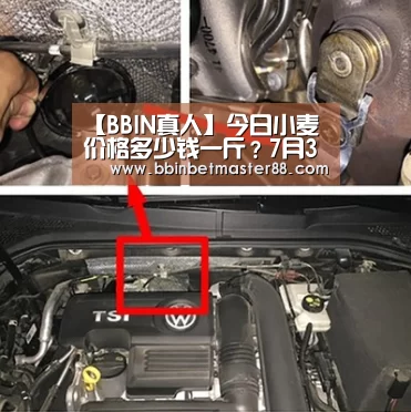 【BBIN真人】今日小麦价格多少钱一斤?7月30日各地小麦价格最新行情(图4) BBIN平台